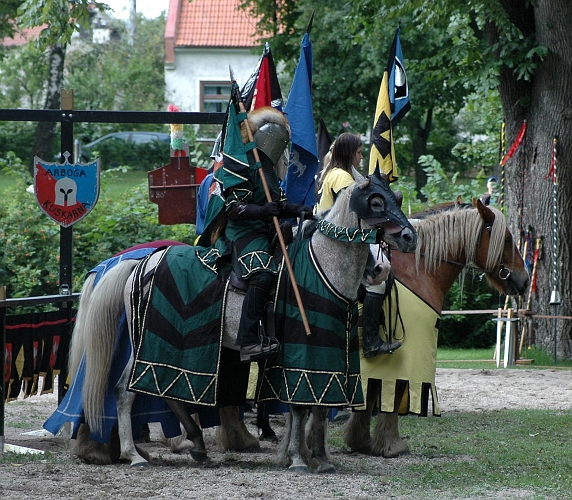 2005_0813 (27).JPG - Riddarna paraderar framför drottningen